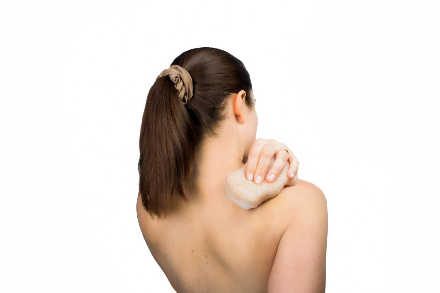 Organic Konjac Svamp KROPP – Valnøttskall/Pure fra Lev Logisk