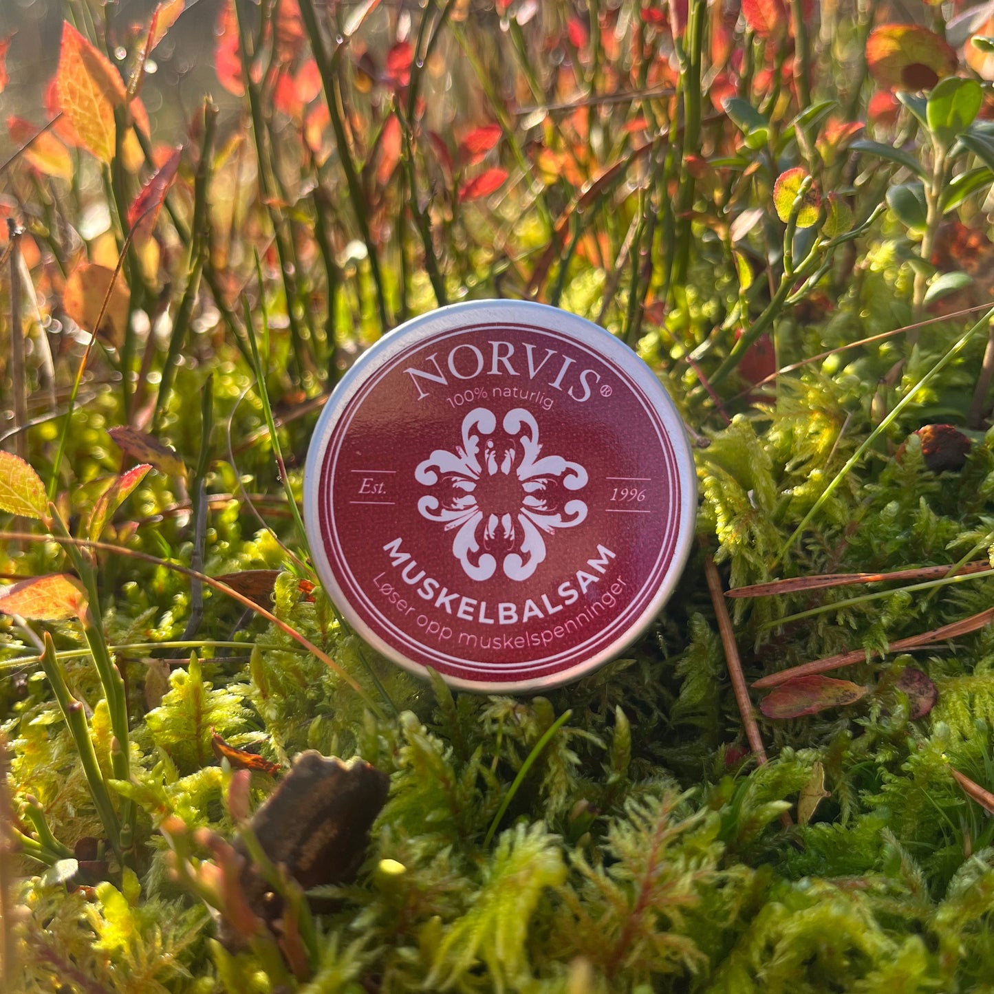 Muskelbalsam
