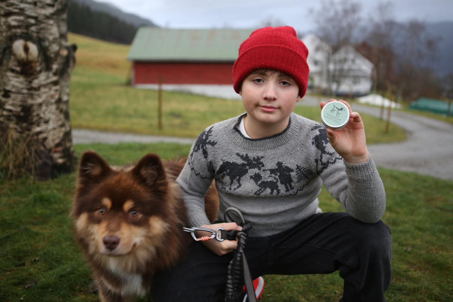 Potesalve til hund – til bruk heile året!