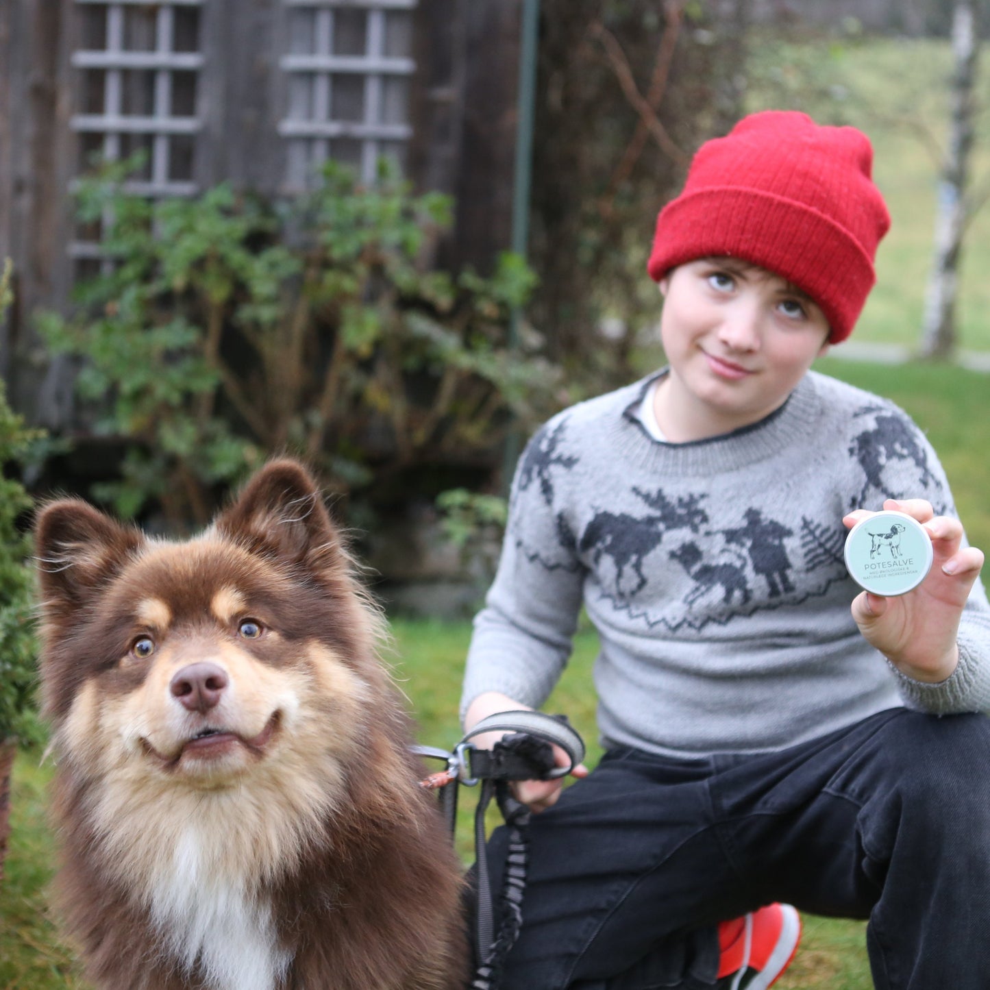 Potesalve til hund – til bruk heile året!
