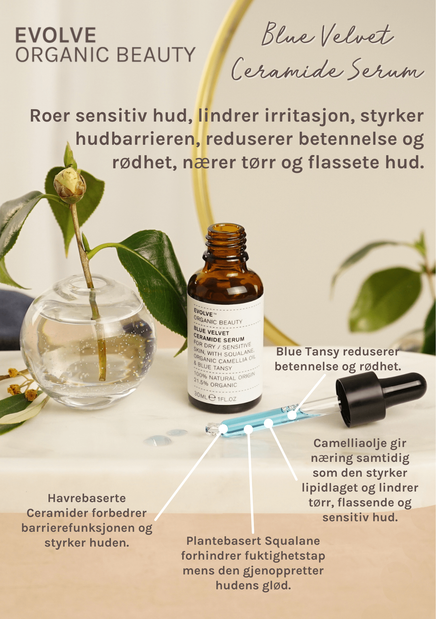 Evolve Blue Velvet Ceramide Serum 30ml - Lev Logisk
